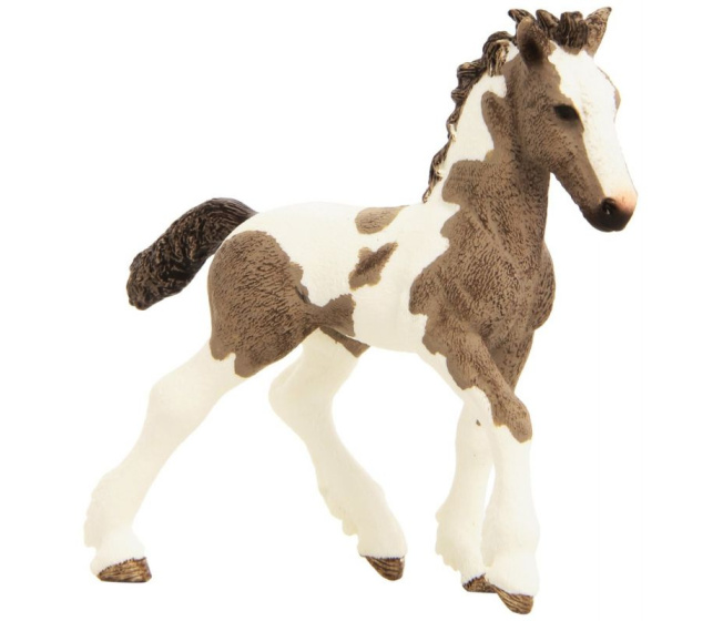 Schleich – Hříbě Tinker 13774