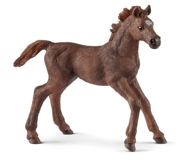 Schleich - Anglické plnokrevné hříbě 13857