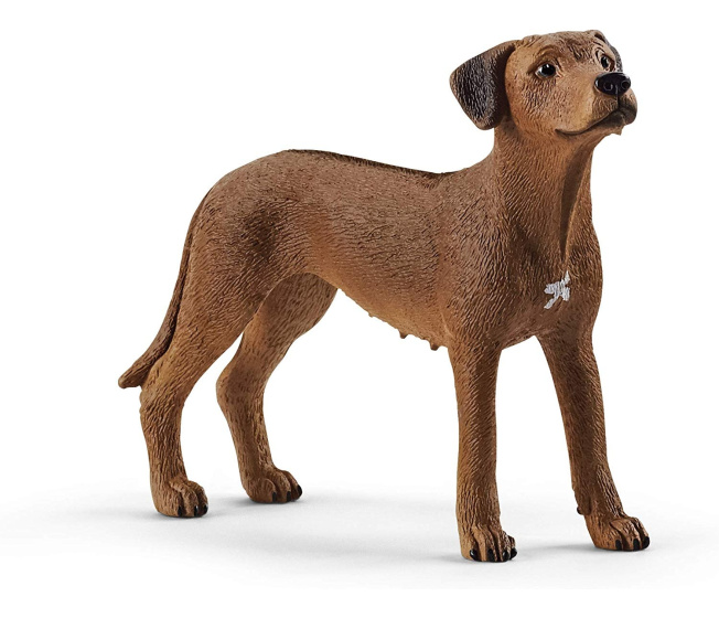 Schleich – Pes Rhodéský ridgeback 13895