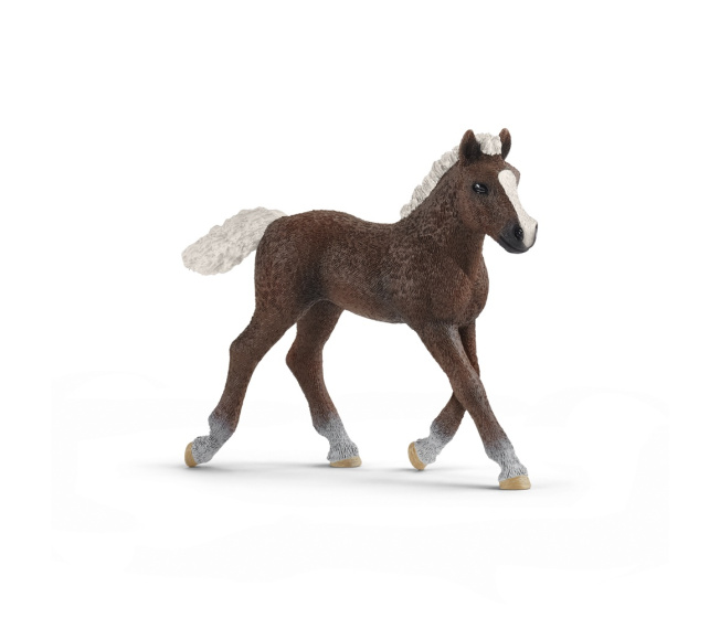 Schleich - Hříbě černého lesa 13899