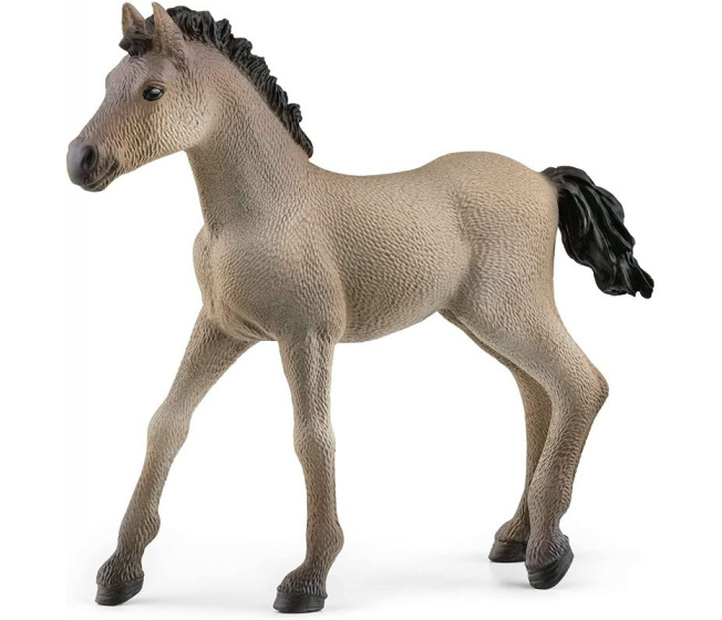 Schleich – Hříbě Criollo 13949