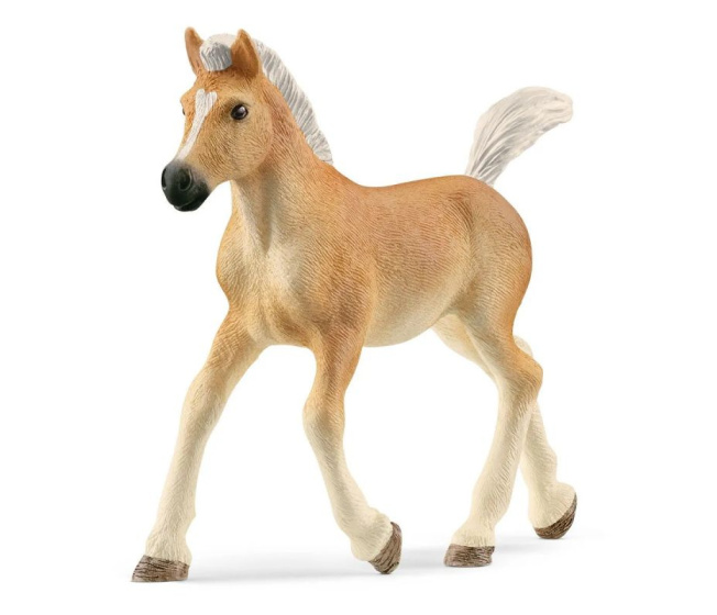 Schleich - Hříbě Haflinger 13951