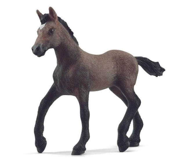 Schleich - Hříběcí plemena Peruánský Paso 13954