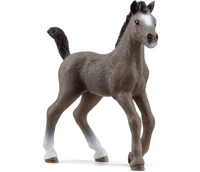 Schleich – Hříbě plemena Selle Francais 13957