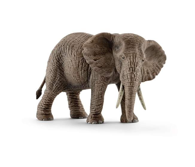 Schleich – Slon africký samice 14761