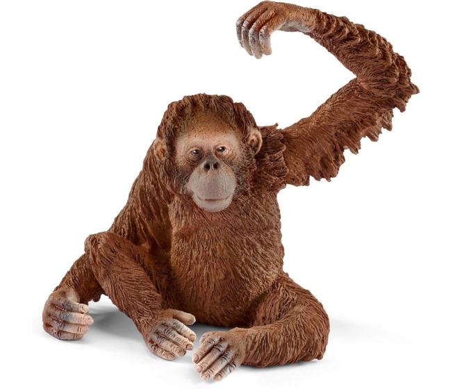 Schleich – Samice orangutana 14775