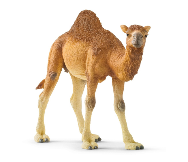 Schleich – Dromedár 14832