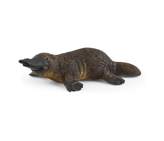 Schleich - Ptakopysk 14840