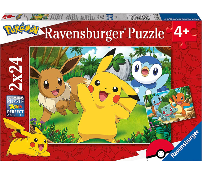 Puzzle – Pokémon 2 x 24