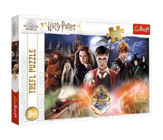 Puzzle 300 – Harry Potter